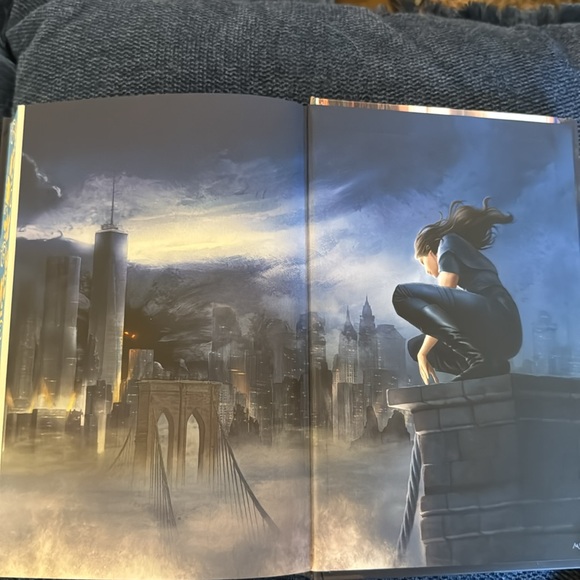 The Wren in the Holly Library-hard copy- sprayed edges - Picture 7 of 7